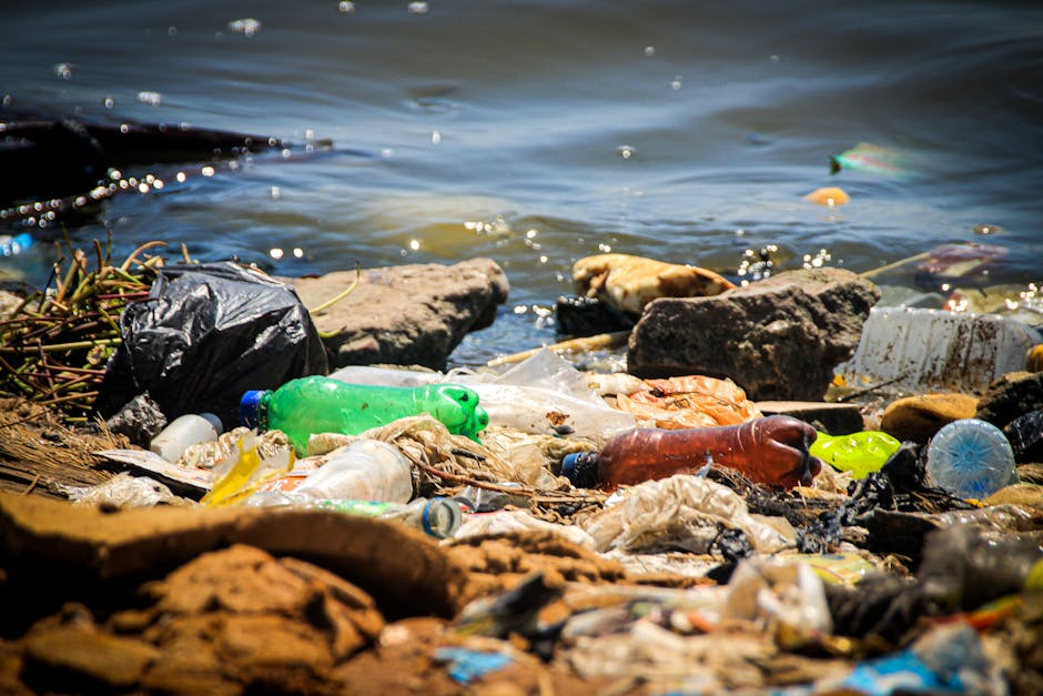 A shoreline scene showing a variety of discarded waste, predominantly plastic bottles and containers in different colors such as green, brown, and clear, scattered among rocks and debris along the wat