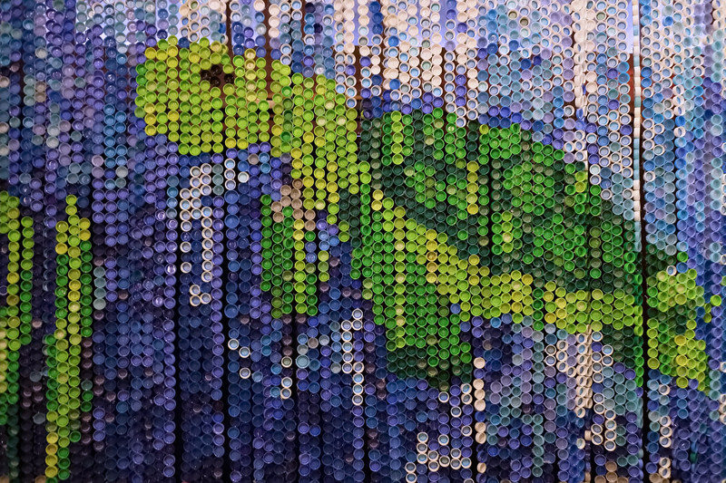 Waste removal waste disposal